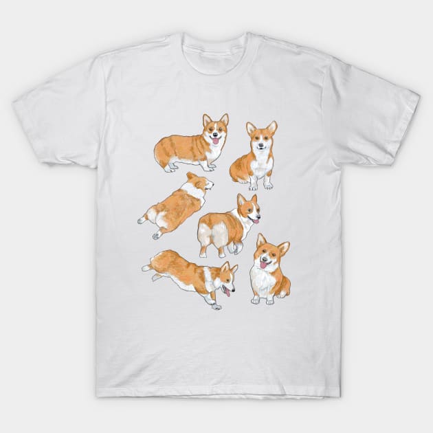 Corgis! T-Shirt by AlisonKolesar